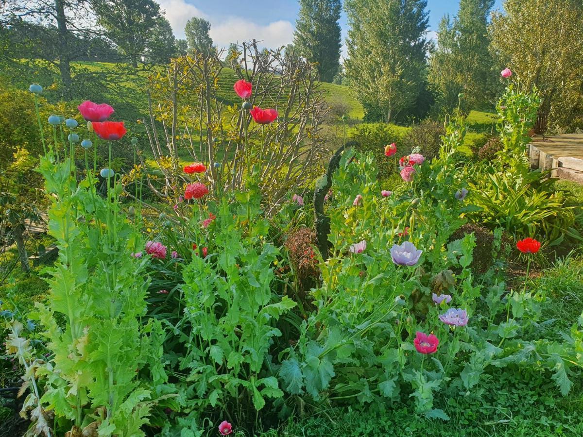 Streamside Country Manor Panzió Walton Kültér fotó